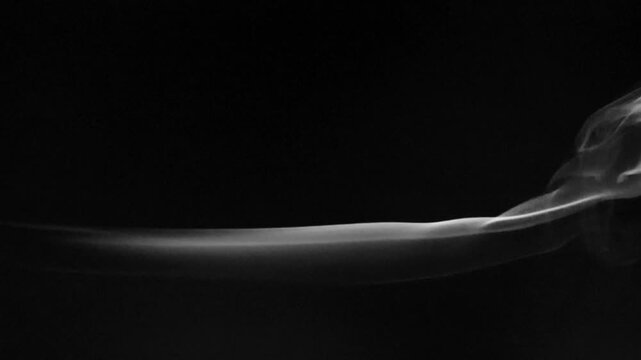 Wispy tendrils of white smoke gracefully curl and drift against a stark black background, creating an abstract and ethereal visual