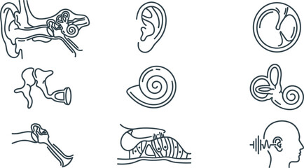 Ear Anatomy and Hearing Line Icon Set with Inner Ear, Cochlea, Eardrum, Auditory System, Hearing Health, and Otology Vector Collection © MstSuborna