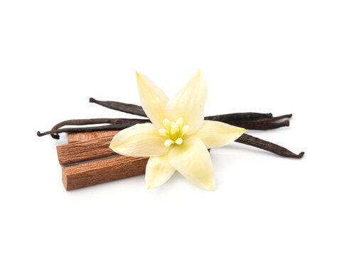 Vanilla flower and vanilla pods with sandalwood