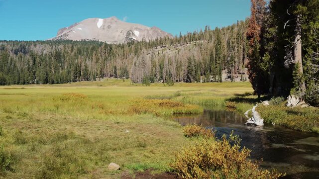 Lassen meadow stretches from forest to creek below Mt. Helen's rocky peak.
