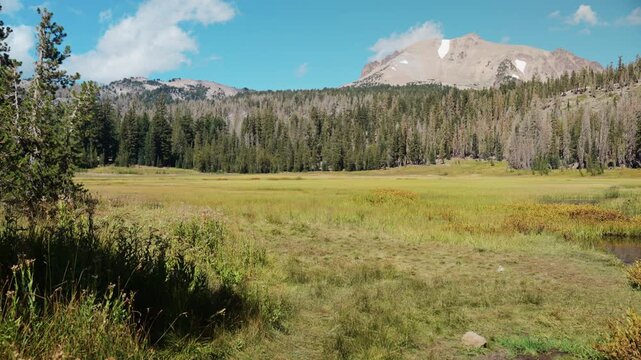 Green alpine meadow spreads below Mt. Helen's rocky summit in Lassen park.