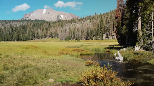 Wide meadow stretches to Mt. Helen as a bird flies above Lassen Valley.