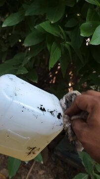 Person wiping clean a plastic jug container with paint thinner
