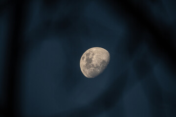 Waxing Moon Floating in a Dark Blue Evening Sky © Pedro