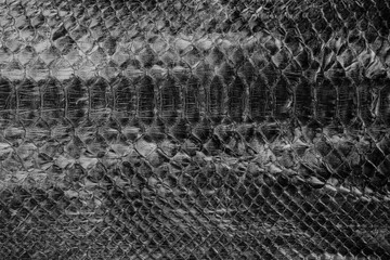 Black glossy python leather texture close up with reptile scale pattern for fashion background © reddish