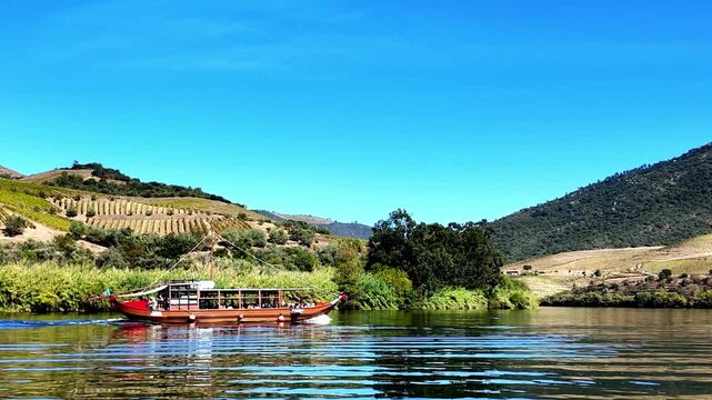 Traditional rabelo boat crosses calm Douro water beside vineyard hills after harvest in Portugal.