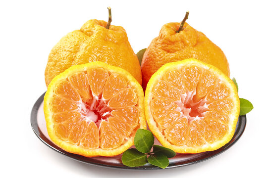 Fresh Ugli Fruit Halves Cut Open Showing Orange Citrus Flesh on Plate Studio Photography