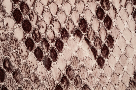 Natural beige python leather texture close up with detailed snake skin scale pattern
