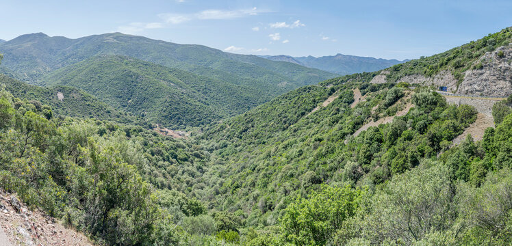forest on hilly countryside at border between Sulcis Iglesiente and Medio Campidano provinces,  near Arbus,  Italy