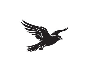 Fototapeta premium Black silhouette of a hawk bird flying with wings spread