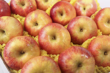Fresh Red Highland Apples from Shaanxi Province China in Protective Foam Packaging © BuiThi
