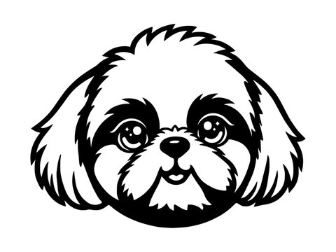 Dog, Shih Tzu, Lhasa Apso, head, muzzle, portrait. Black-and-white vector template on a white background. Isolated vector.