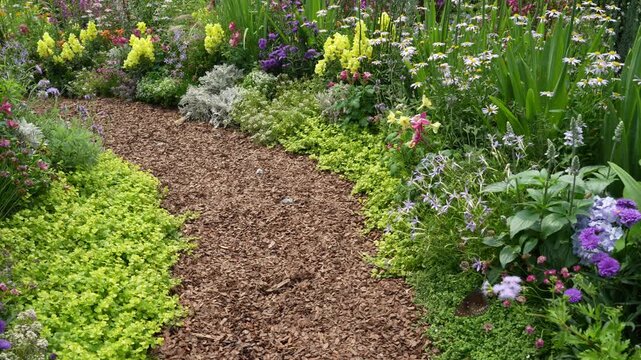 path leading through a flower garden
