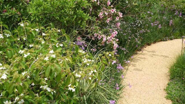 path leading through a flower garden