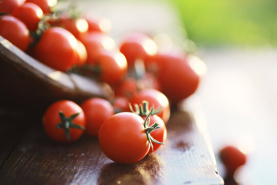 Ecological fresh farm cherry tomatoes on a wooden background.