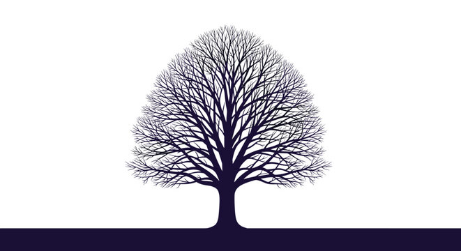 Dark silhouette of a wide leafless tree stands alone against a bright white background representing autumn or winter.