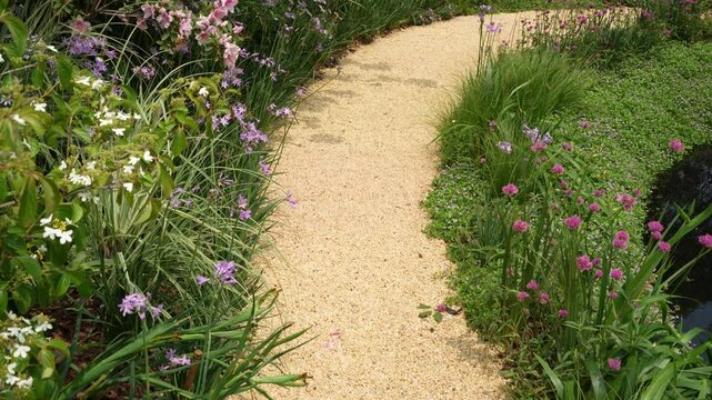 path leading through a flower garden