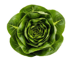 Obraz premium A green cabbage with layered leaves forming a symmetrical, circular pattern that closely resemblesa rosette.