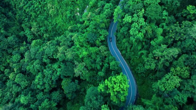 Green Landscape with Winding Road for Corporate Sustainability Communication