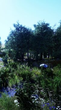 A variety of green trees and plants in an outdoor area. Sunlight shines on the foliage. There are rocks and flower patches among the greenery.