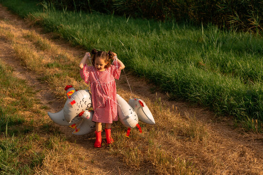 little girl in rubber boots is running around in the field in summer with chicken‑shaped balloons.