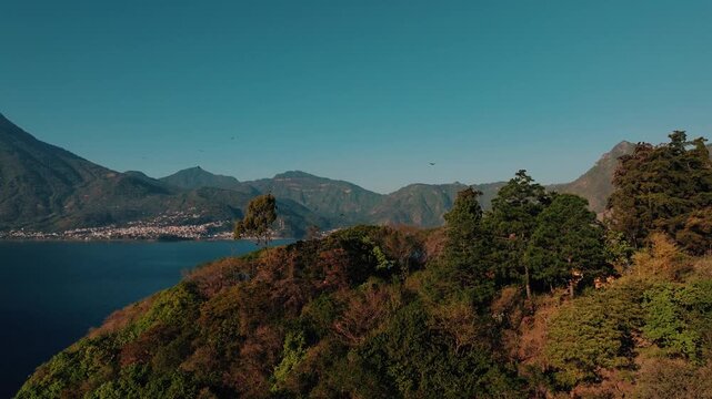 Drone shots of Vibrant Fall Forest Canopy Lake Atitlan with vultures flying