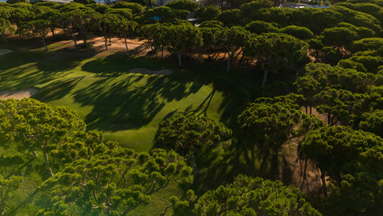Naklejka premium Aerial view of a lush green park with a pathway bisecting the manicured lawn and surrounded by dense trees on a sunny day Stock Photo