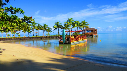Colorful pontoon boat moored at palm fringed tropical beach © VJH Photography