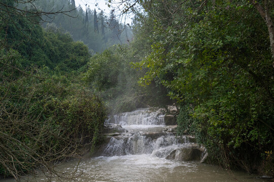 Waterfall at Nahal Hashofet at Ramat Menashe Forest part of the Carmel mountain range in Israel
