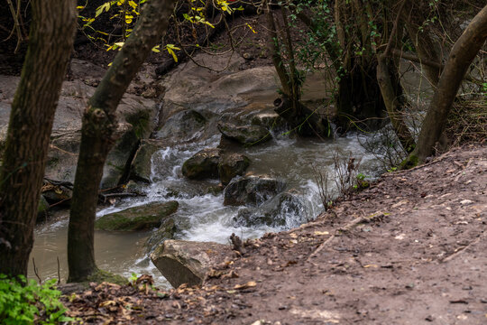 Part of the Nahal Hashofet stream at Ramat Menashe Forest part of the Carmel mountain range in Israel
