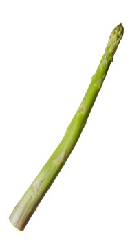 アスパラガス 生のまま並べられた1本の切り抜き グリーンアスパラ 野薬食材