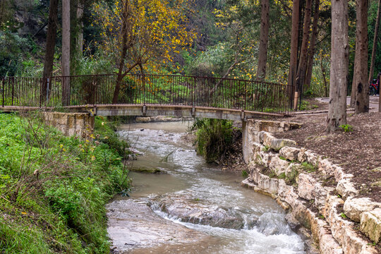 The old bridge over Nahal Hashofet stream at Ramat Menashe Forest part of the Carmel mountain range in Israel
