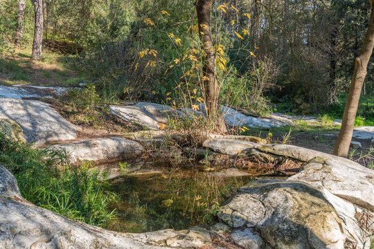 Terraced pools along the Nahal Hashofet stream with reflections at Ramat Menashe Forest part of the Carmel mountain range in Israel
