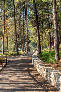 Trail at Nahal Hashofet at Ramat Menashe Forest part of the Carmel mountain range in Israel
