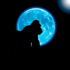 Silhouette of a gorilla in the moonlight  © Fadola