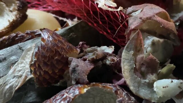 Close up view of natural organic textures of sea shells and debris on the shore.