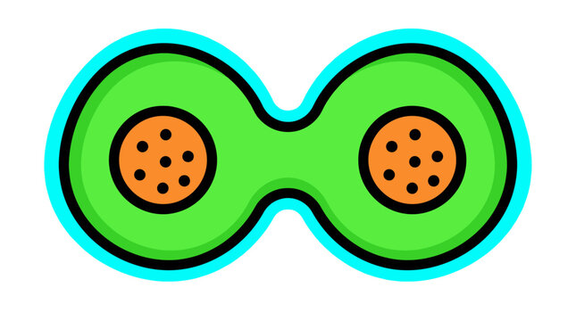 Stylized two-cell division icon. Connected green shapes with orange speckled cores, simple biology and growth concept vector illustration.