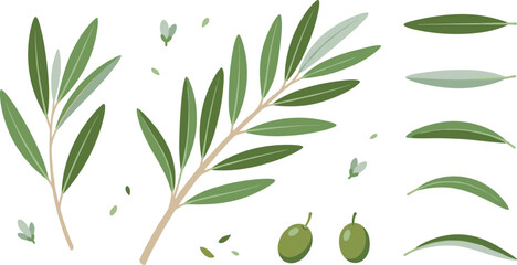 Isolated olive branch cartoon vector illustration elements showing natural foliage leaves and twigs perfect for wedding invitations and healthy food designs © MDSHAHINALAM