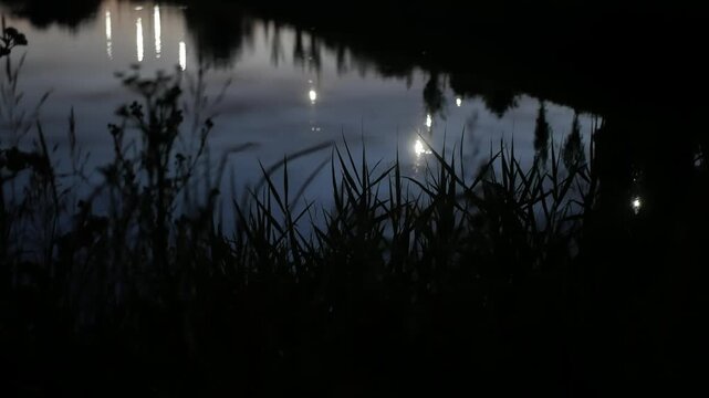 Dark silhouettes of riverside grass reflected in calm water at dusk with shimmering lights on the surface. Peaceful evening nature scene featuring tranquil reflections and serene outdoor atmosphere.