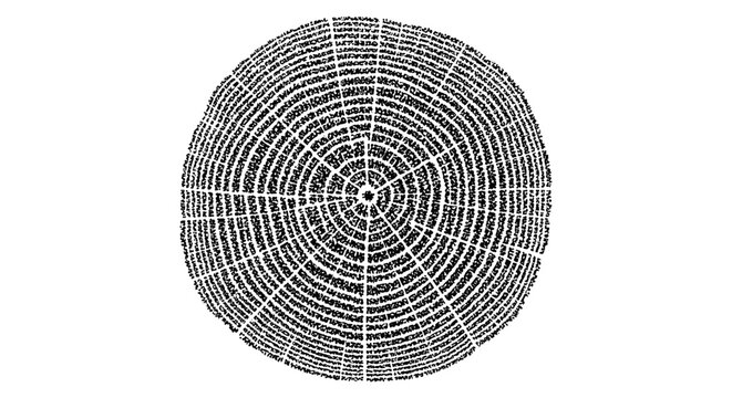 Pine tree ring texture vector, vintage nature wood slice graphic, tactile print.