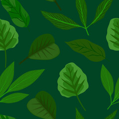 Fototapeta premium Green leaves of different plants in print