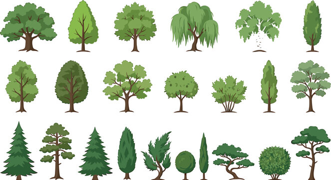 Detailed green tree icons collection featuring cartoon oak, pine, weeping willow, birch, bonsai, garden shrubs, and structured landscape architecture vector elements.
