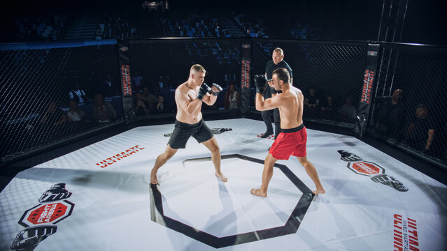 Two Muscular MMA Fighters Fight Clash in a Fierce Ground Fight. Octagon Floor While a Focused Referee Watches and the Excited Crowd Cheers Inside the Packed Cage Arena.