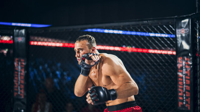 MMA Championship Title Belt Fight Action: Focused Fighter in Octagon Cage Throws a Sharp Punch, Gloves up in Guard, Sweat and Grit , Crowd Blur Behind, Mixed Martial Arts Match Energy