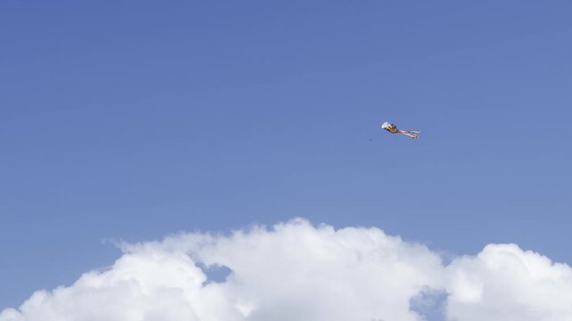 A kite is a tethered heavier-than-air craft with wing surfaces that react against the air to create lift and drag forces. Kualoa Regional Park, Honolulu, Oahu, Hawaii. 
