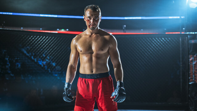 MMA Fighters Pause Mid Fight Inside the Cage as a Bloodied Fighter Stands Ready With Tight Fists and Steady Eyes, Showing Contact, Grit, and Pressure in a Fight for the Champion Title Belt Show Moment