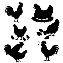 rooster and hen silhouette , isolated on white background © meyyy