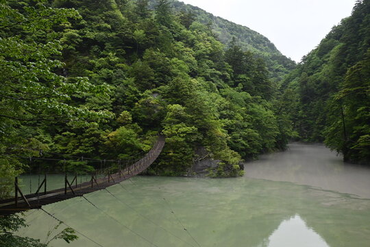 奥山の川の合流地点に架かる静かな吊橋