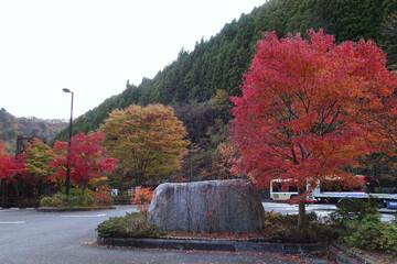日本：「山のふるさと村」の紅葉と石標【東京都立奥多摩湖畔公園】東京都奥多摩町 © yumiko