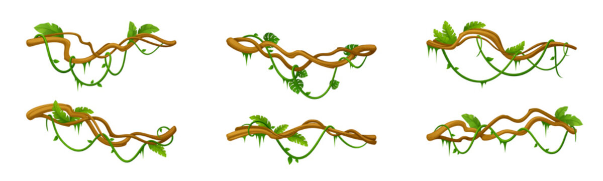 Vine liana jungle elements with tree branches and tropical plants. Vector frame design of cartoon forest creepers and ivy leaves. Decorative vine border with green foliage for game backgrounds.